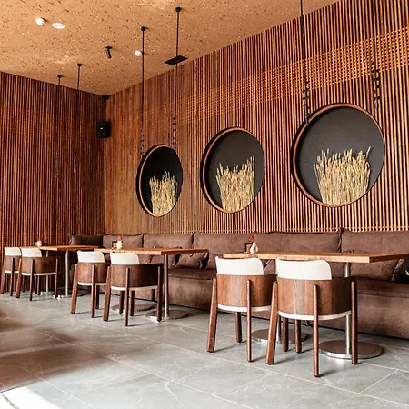 Lev Lifestyle - Maestro