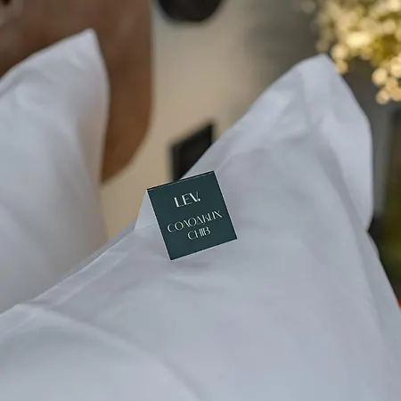 Lev Lifestyle - Maestro Hotel
