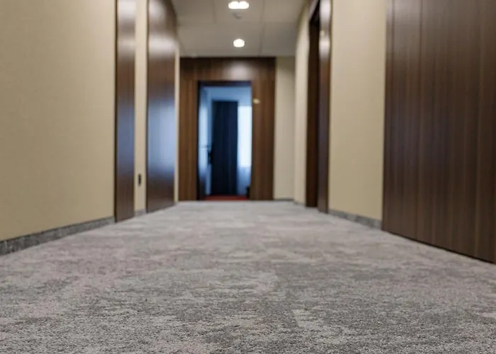 Отель Lev Lifestyle - Maestro